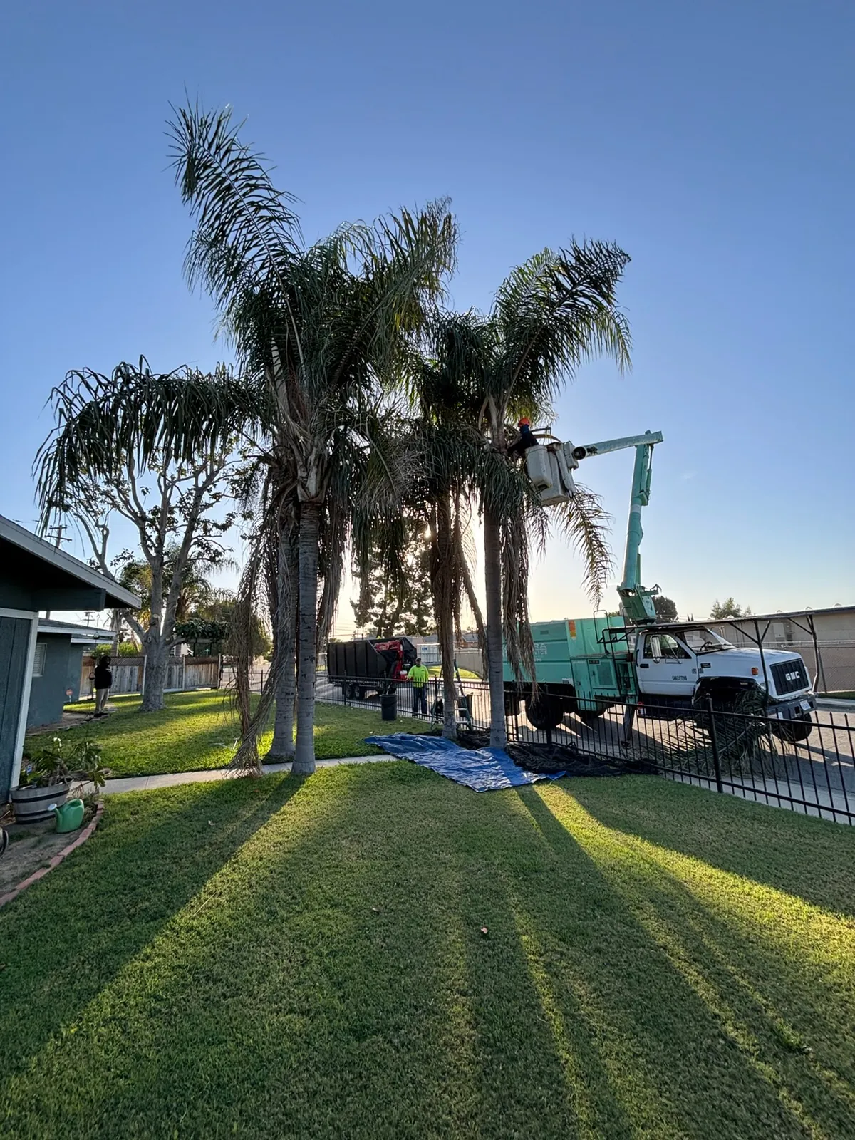 ME8453490f0d072ebe66a59aca26a2432d